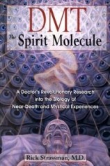 читать ДМТ   Молекула духа